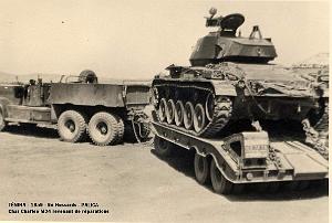 Palica - B- Tenira 058